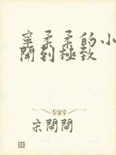 宁柔柔的小泬撑开到极致