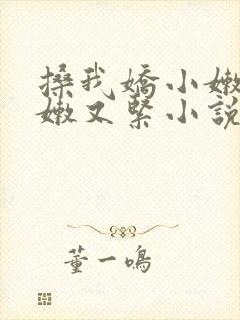 搡我娇小嫩苞又嫩又紧小说