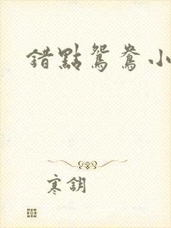 错点鸳鸯小说