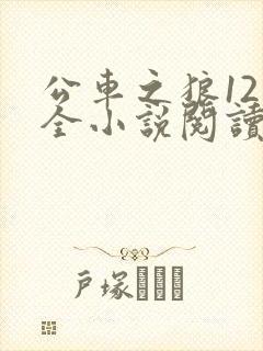 公车之狼12集全小说阅读