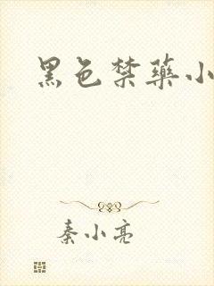 黑色禁药小说