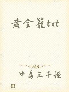 黄金笼txt