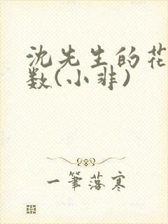 沈先生的花式调数(小非)