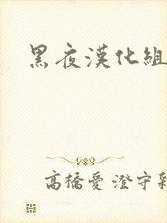 黑夜汉化组