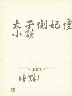 太子侧妃傻乎乎小说