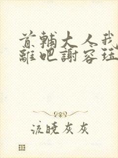 首辅大人我们和离吧谢容珏