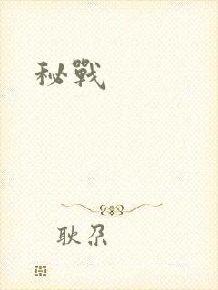 秘战