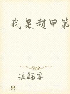 我是赵甲第小说