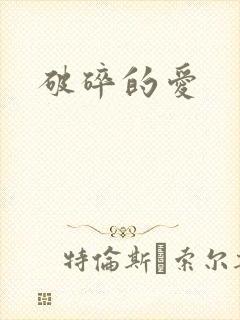 破碎的爱