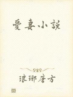 爱妻小说