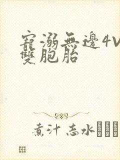 宠溺无边4V2双胞胎