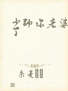 少帅你老婆又跑了