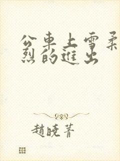 公车上雪柔被猛烈的进出