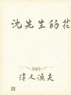 沈先生的花式封面