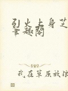 引火上身芝麻糖笔趣阁