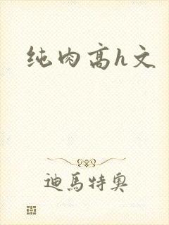 纯肉高h文