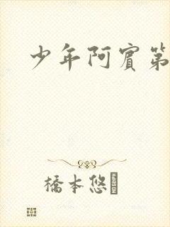 少年阿宾第二部