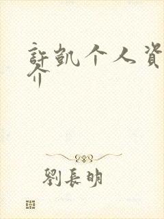 许凯个人资料简介