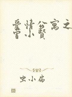 爱情公寓之极品曾小贤