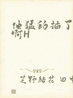 他猛的插了进去啊H