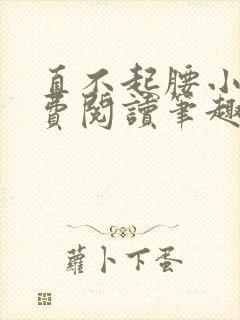 直不起腰小说免费阅读笔趣阁无弹窗