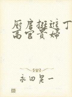 厨房挺进丁字裤高官贵妇