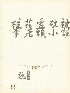 校花处破被灌满李老头小说封面