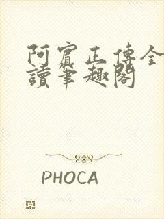 阿宾正传全文阅读笔趣阁