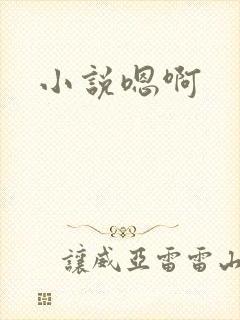 小说嗯啊