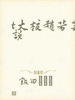 t大校赵若芸小说