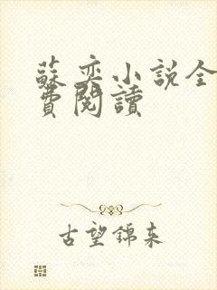 苏奕小说全文免费阅读