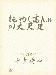 纯肉(高h.np)大尺度