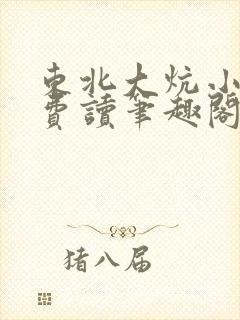 东北大炕小说免费读笔趣阁封面