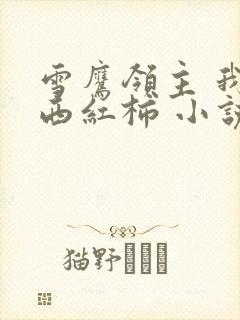 雪鹰领主 我吃西红柿 小说