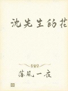 沈先生的花式调