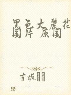 黑色大丽花真实图片 原图