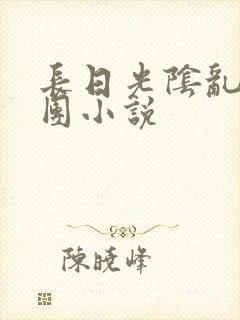 长日光阴乱作一团小说