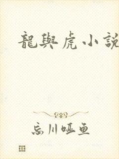 龙与虎小说