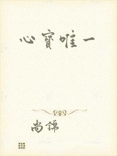 心宝唯一