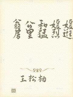 《翁公和媛媛在厨房里猛烈进出》小说封面