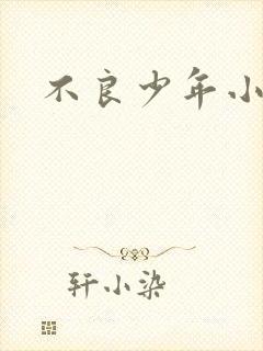 不良少年小说