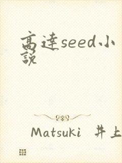 高达seed小说