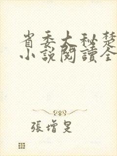 省委大秘楚东恒小说阅读全文