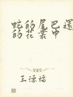 蛇的尾巴还在我的花丛中