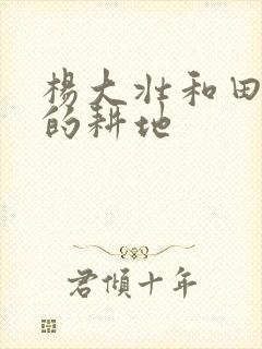 杨大壮和田桂花的耕地