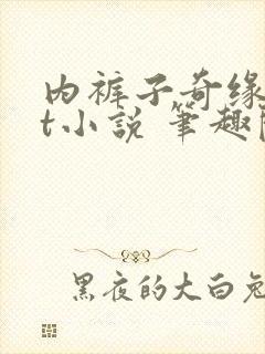 内裤子奇缘txt小说 笔趣阁