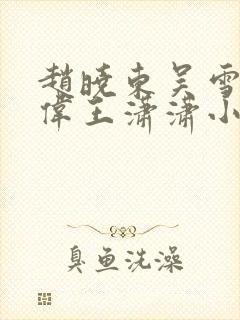 赵晓东吴雪晴郑伟王潇潇小说名字