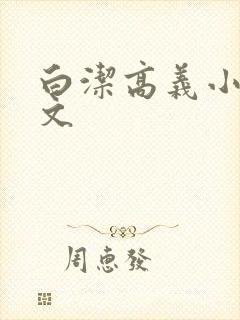 白洁高义小说全文