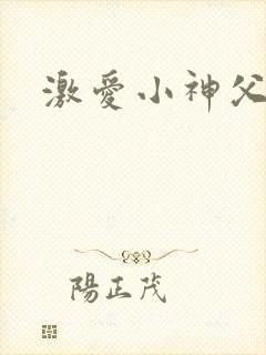 激爱小神父