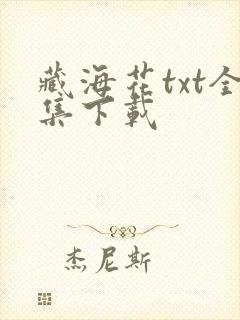藏海花txt全集下载
